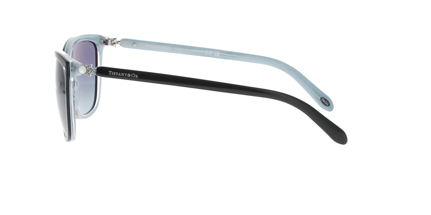 Classic Black Tiffany Sunglasses 5 Classic Black Tiffany Sunglasses - Image 3