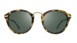 Revo Quinn RE1135 -Polaeoid Shop RevoQuinntort